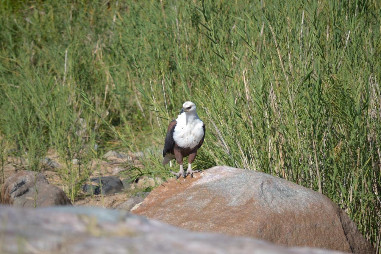 Athule Inn Marloth - Units Marloth Park Esterno foto