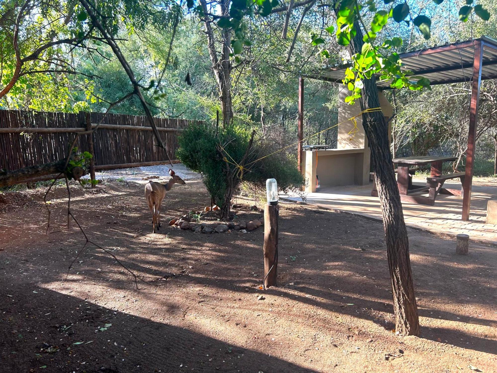 Athule Inn Marloth - Units Marloth Park Esterno foto
